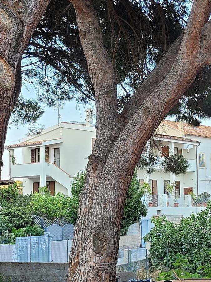 L'Asfodelo Bed and Breakfast La Maddalena  Exterior foto
